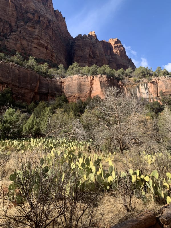 Zion region photography - Winter & Snow