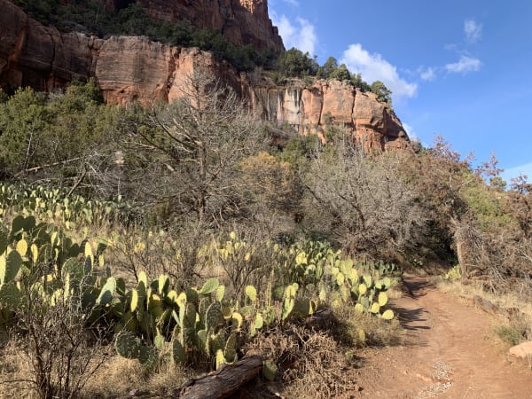 Zion region photography - Winter & Snow