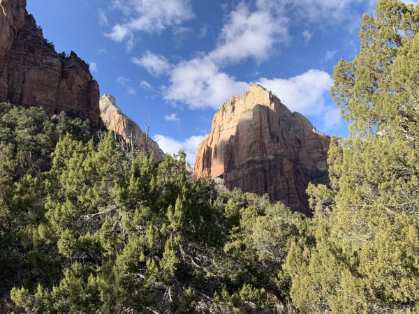 Zion region photography - Winter & Snow