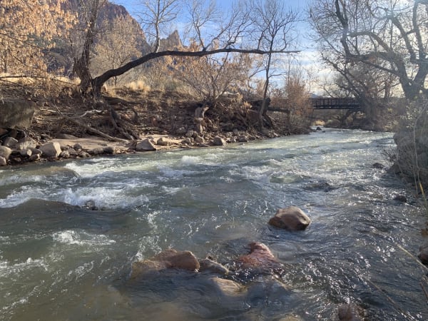 Zion region photography - Winter & Snow