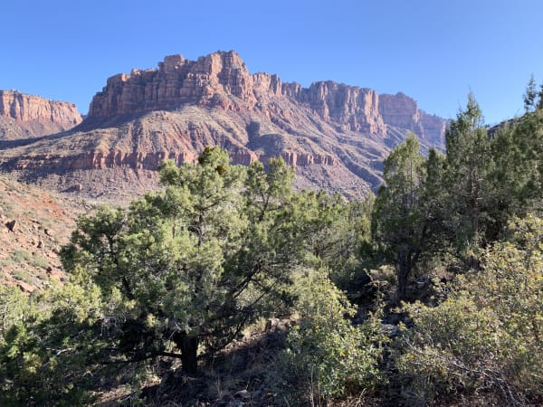 Zion region photography - Winter & Snow