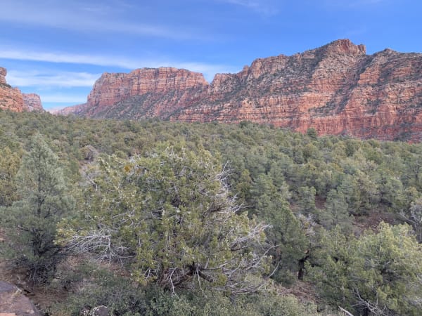 Zion region photography - Winter & Snow