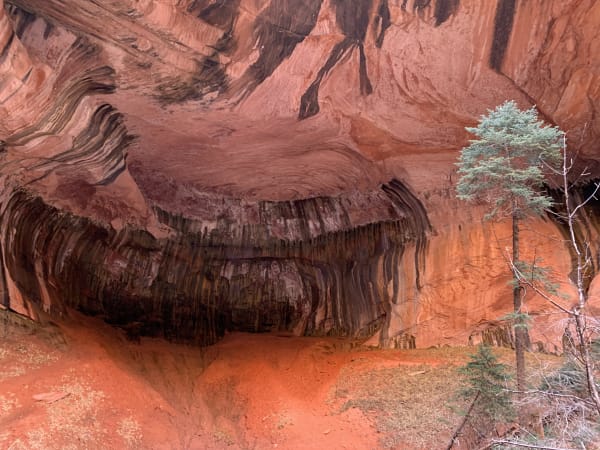 Zion region photography - Winter & Snow