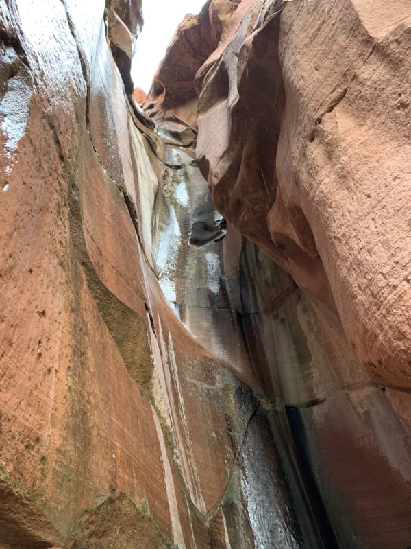 Zion region photography - Winter & Snow
