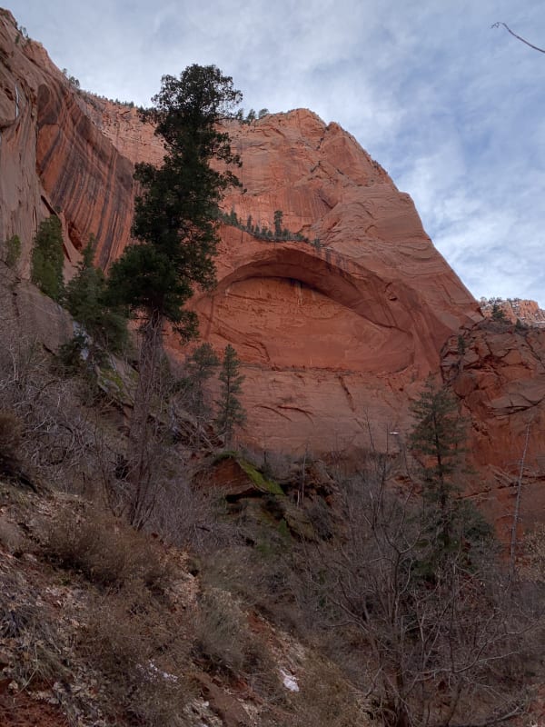 Zion region photography - Winter & Snow