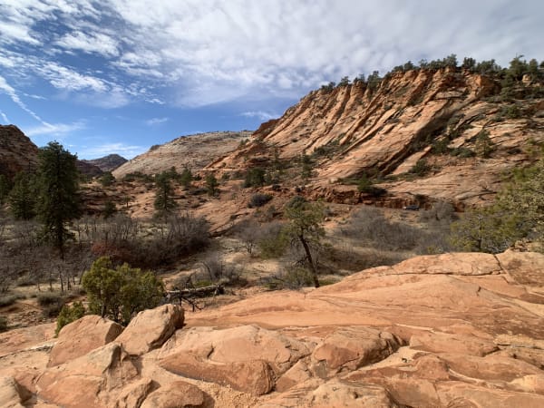 Zion region photography - Winter & Snow