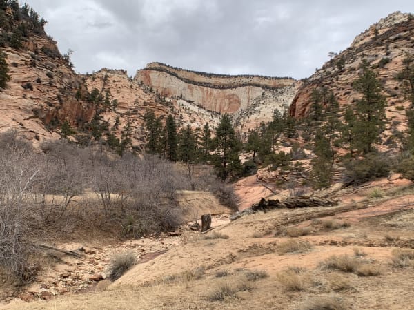 Zion region photography - Winter & Snow