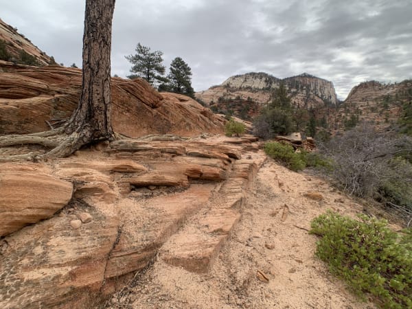 Zion region photography - Winter & Snow