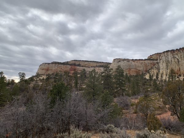 Zion region photography - Winter & Snow