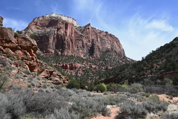 Zion region photography - Zion Canyon