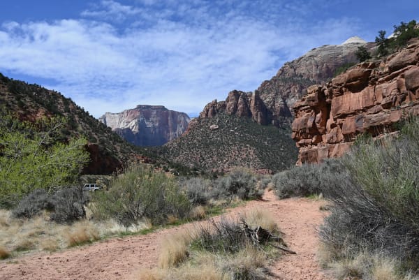 Zion region photography - Zion Canyon