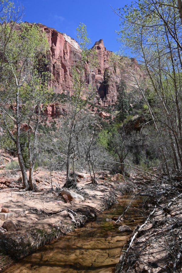 Zion region photography - Zion Canyon