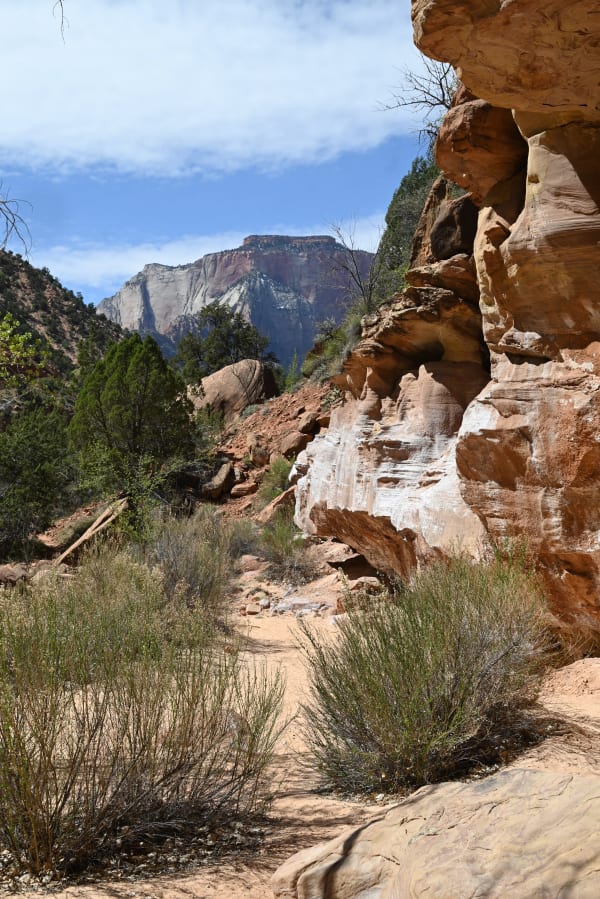 Zion region photography - Zion Canyon