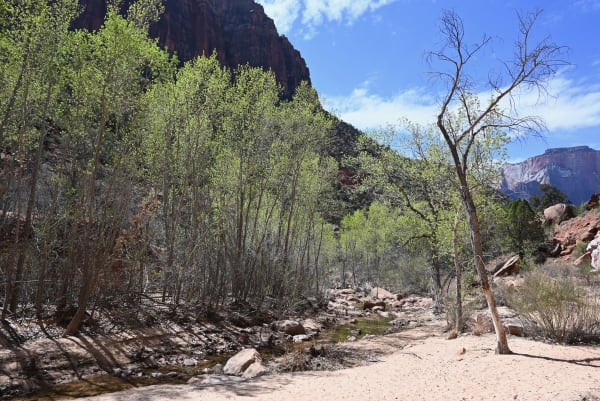 Zion region photography - Zion Canyon