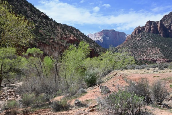 Zion region photography - Zion Canyon