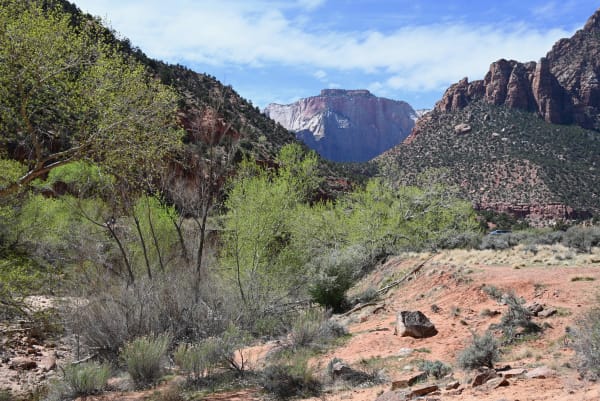 Zion region photography - Zion Canyon