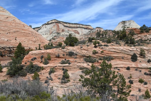 Zion region photography - Zion Canyon