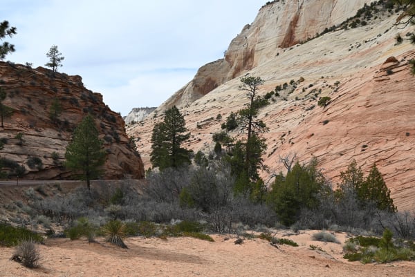 Zion region photography - Zion Canyon