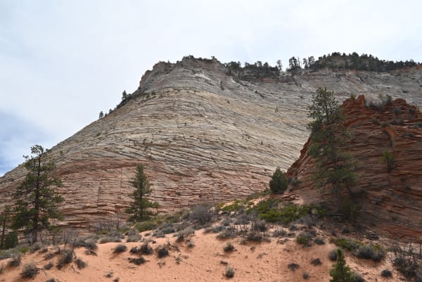 Zion region photography - Zion Canyon