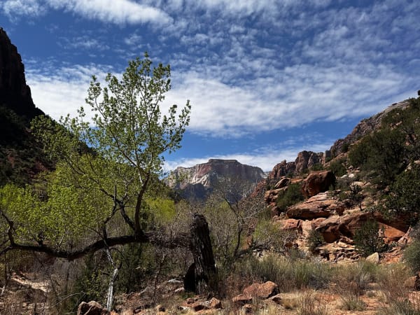 Zion region photography - Zion Canyon