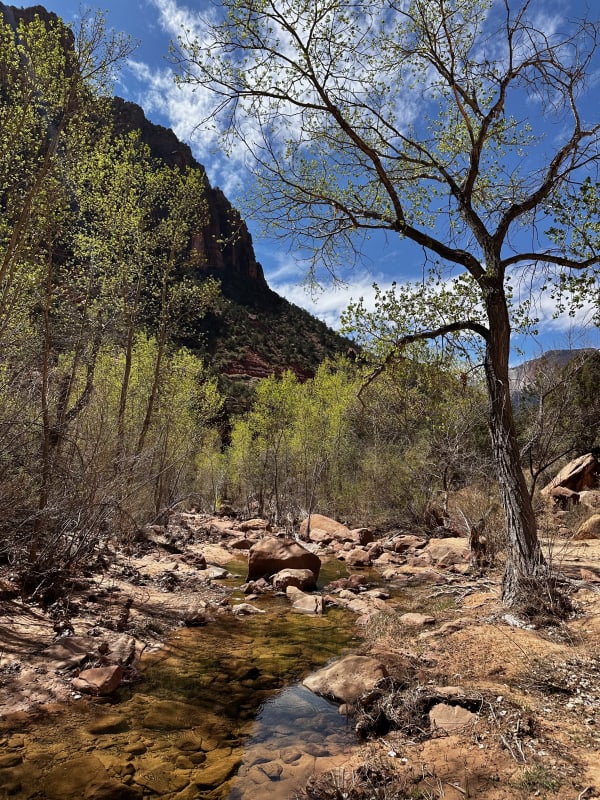 Zion region photography - Zion Canyon
