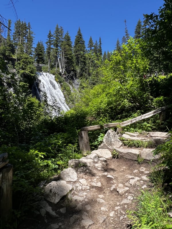 Mt. Rainier National Park photo 6
