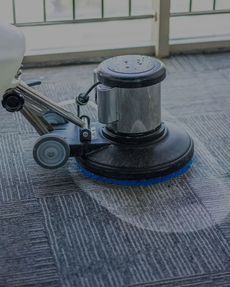 Mantenimiento de alfombras