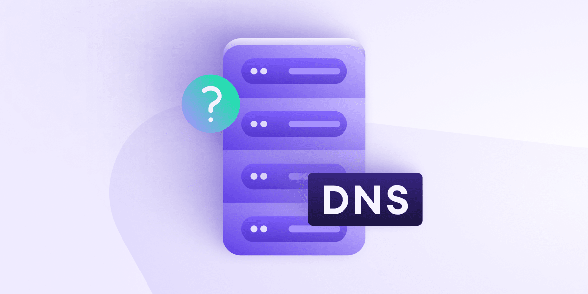 What does private DNS mean?