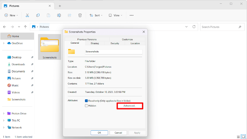 Windows 11 folder advanced properties