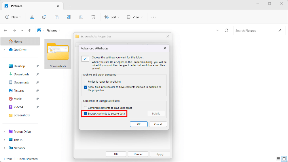 Encrypt contents on Win 11