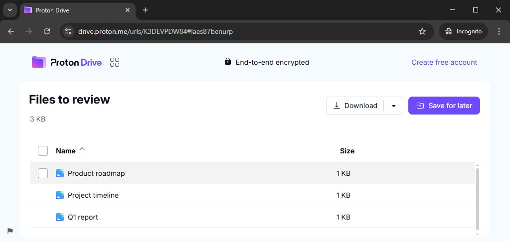 Proton Drive shows how a shared folder with view access looks to someone else in the web browser