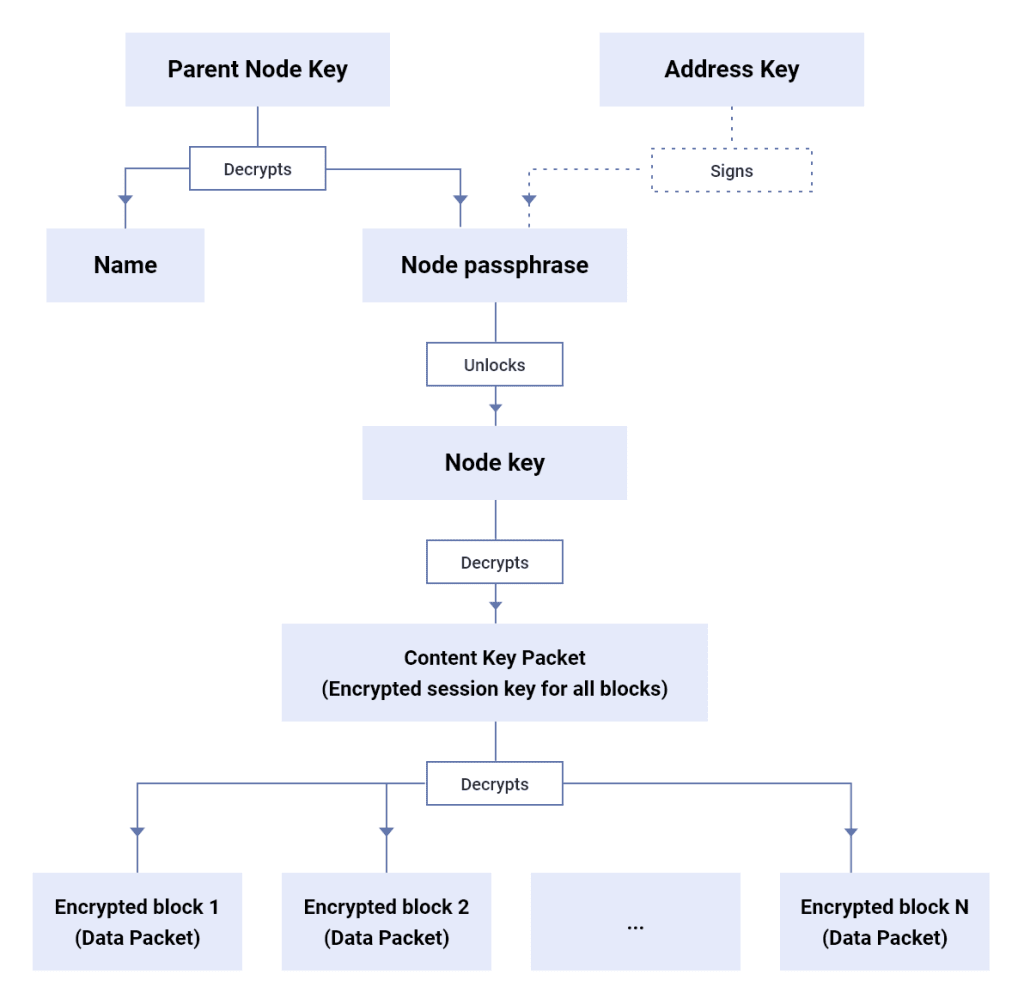 A diagram of ProtonDrive nodes.