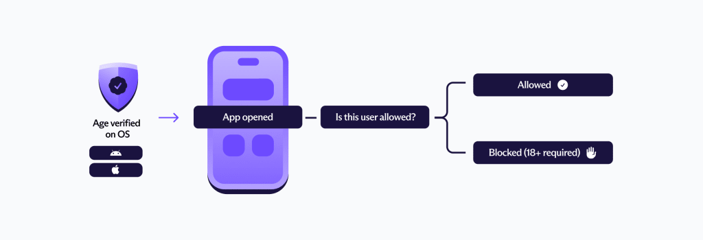 A diagram that shows how age verification works at the operating system layer