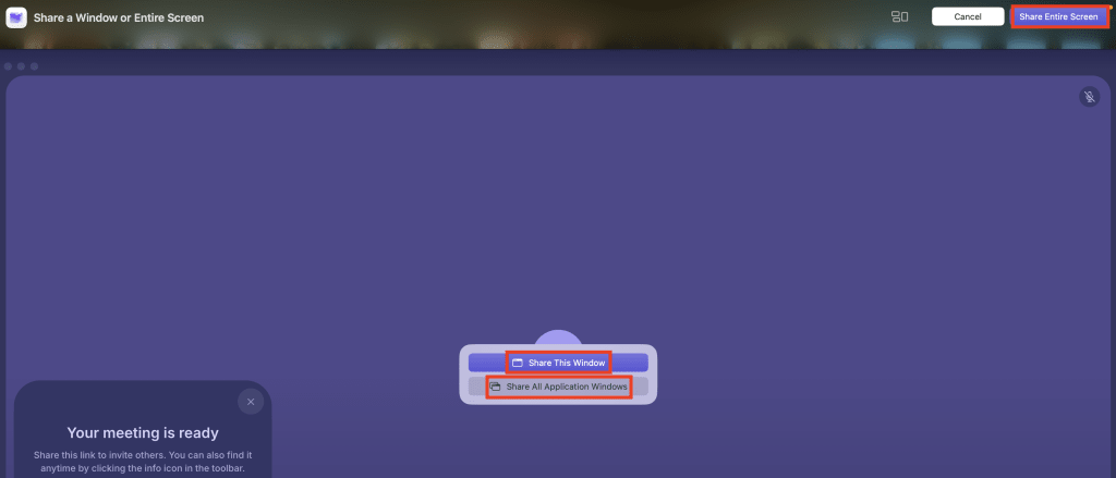 Select how to share your screen when using the Proton Meet macOS app