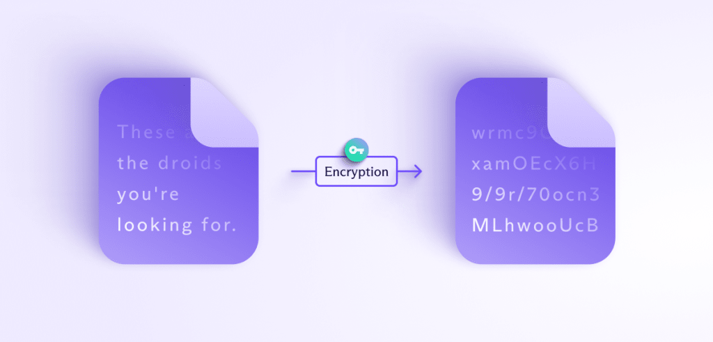 Plain vs cipher text