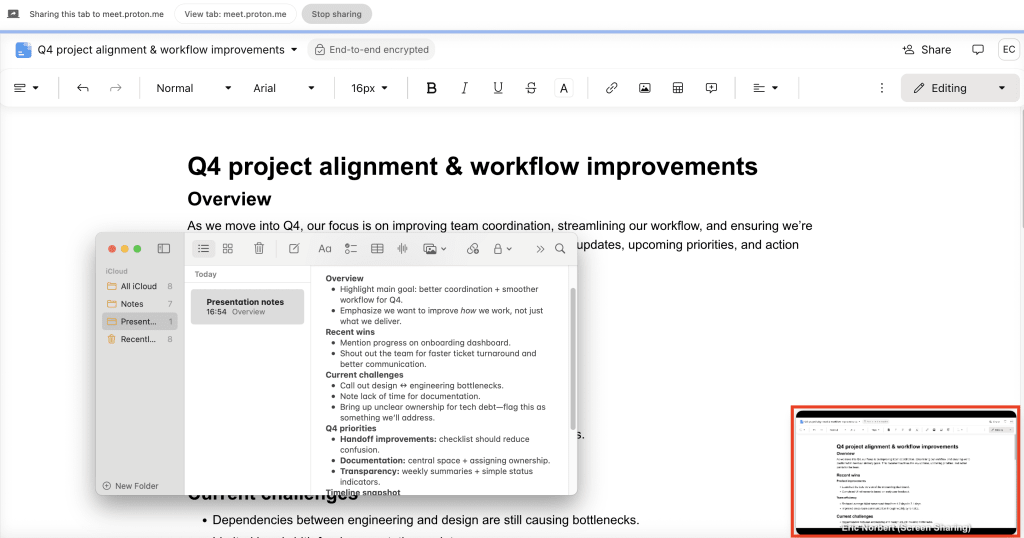 The Proton Meet picture-in-picture mode is enabled during screen sharing