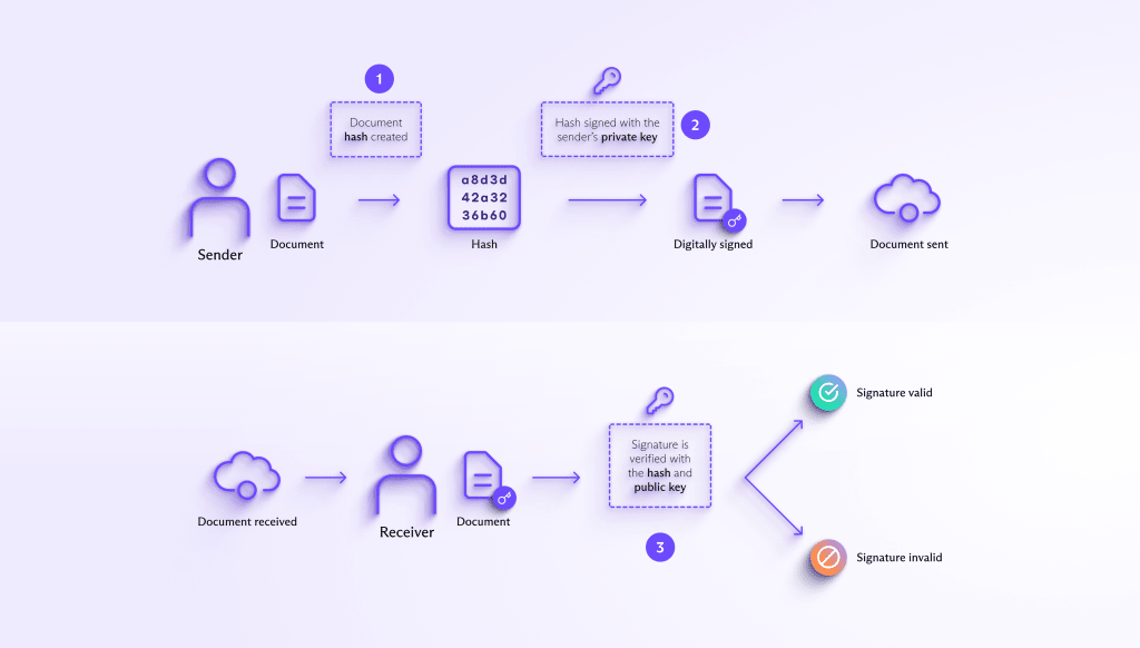 How digital signatures are created with a hash and private key and verified with a public key