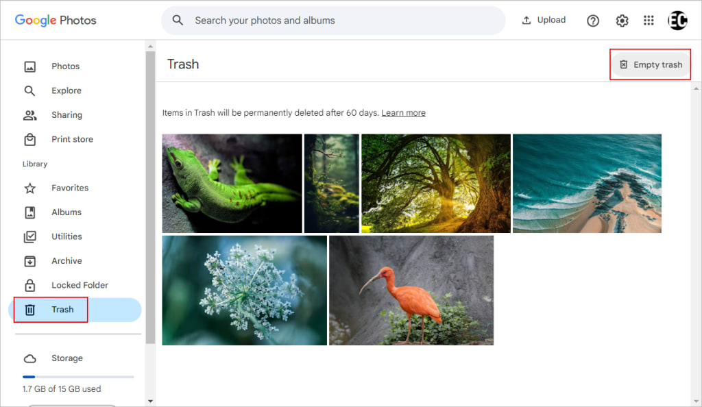 DéGoogler votre vie Comment supprimer toutes les photos de Google Photos Proton