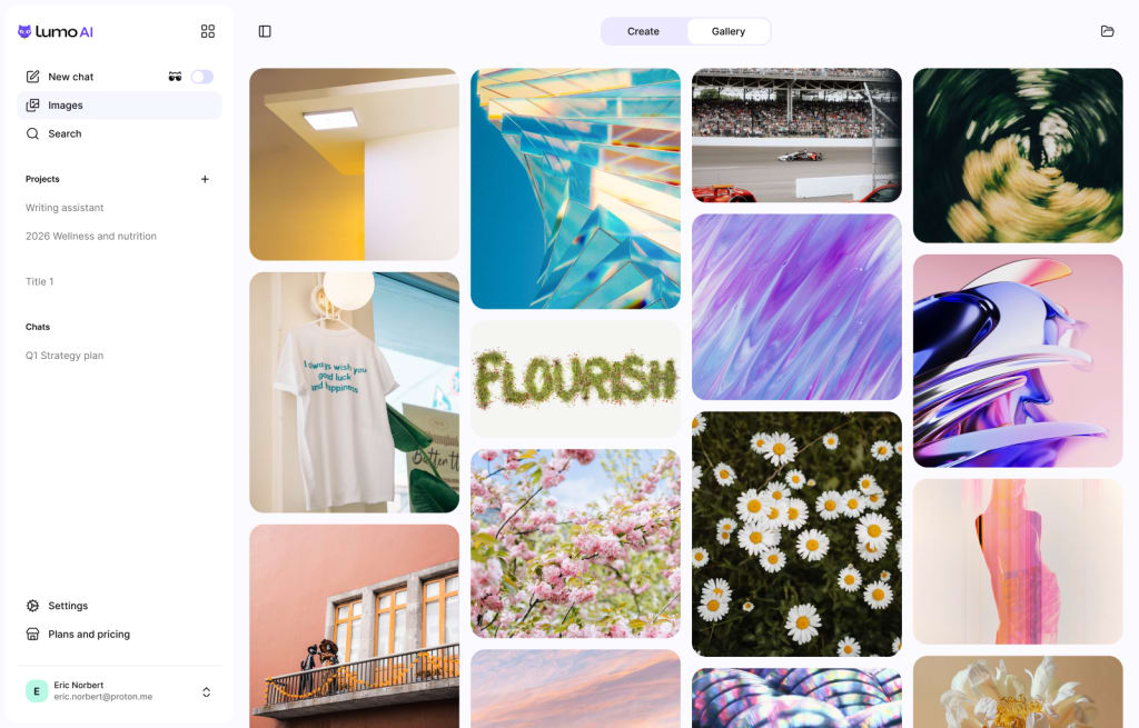Screenshot of Lumo's Image Gallery with various images.