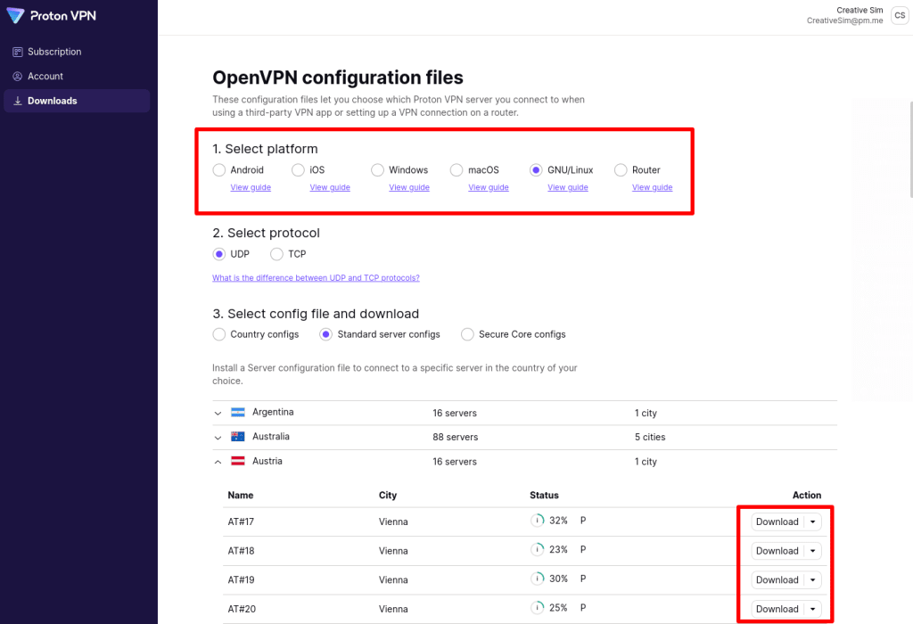 Download OpenVPN config