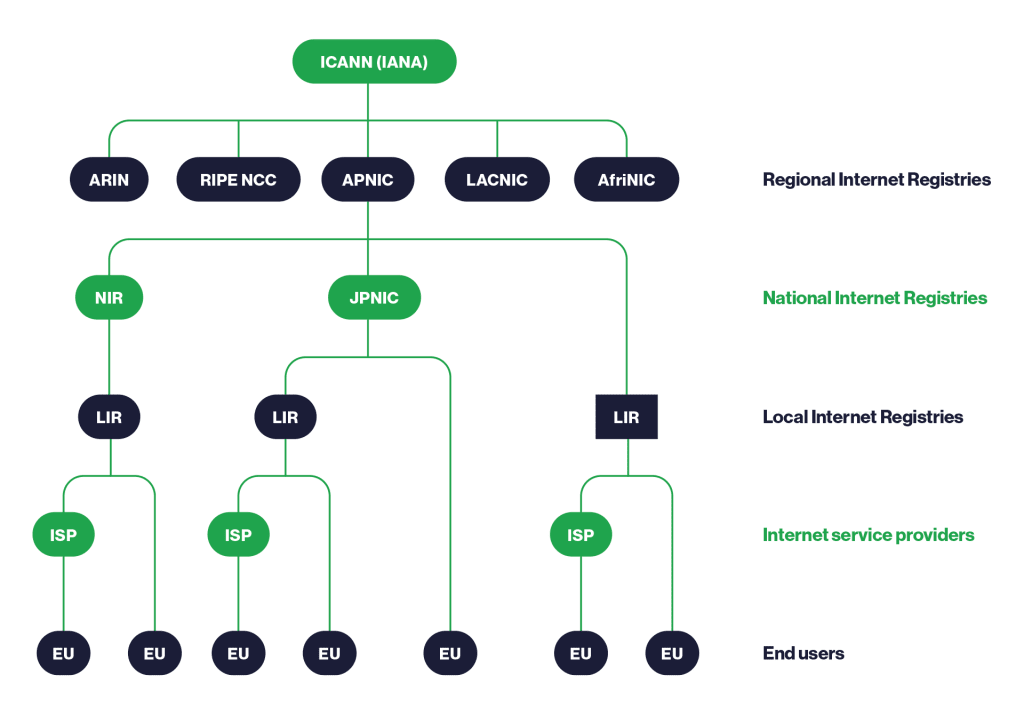 How IPs public addresses are assigned on the internety