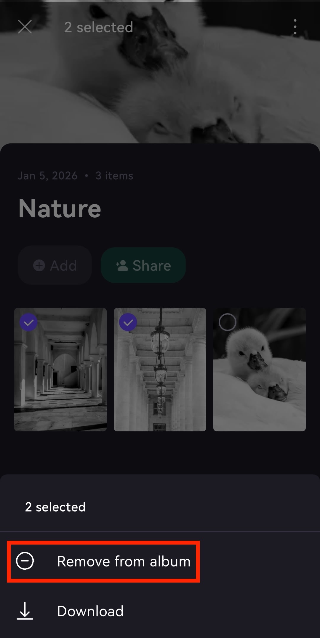 The Proton Drive Android app shows how to remove photos from an album