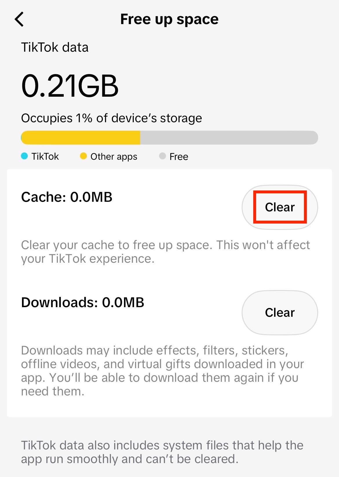 iPhone settings show how to clear TikTok cache