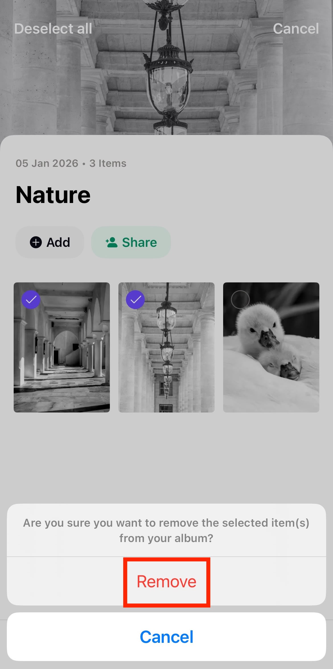 The Proton Drive iOS app shows how to remove photos from an album