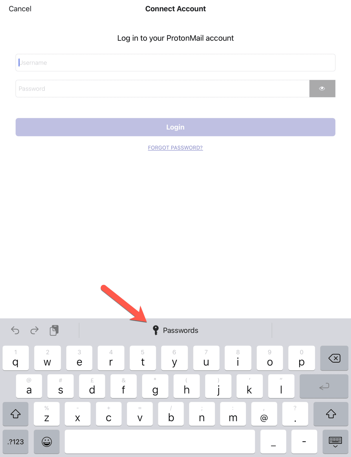 Image of iOS login