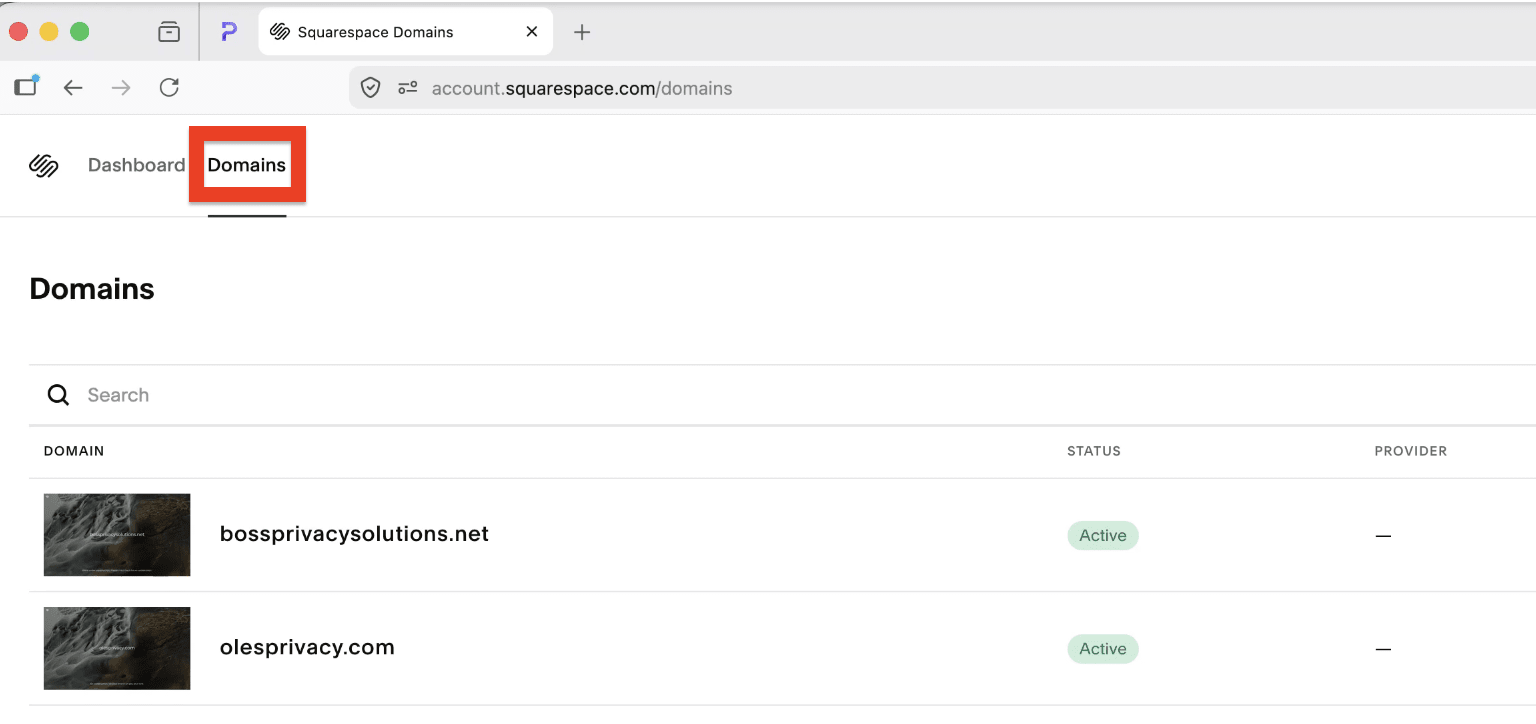 The Squarespace Domains tab