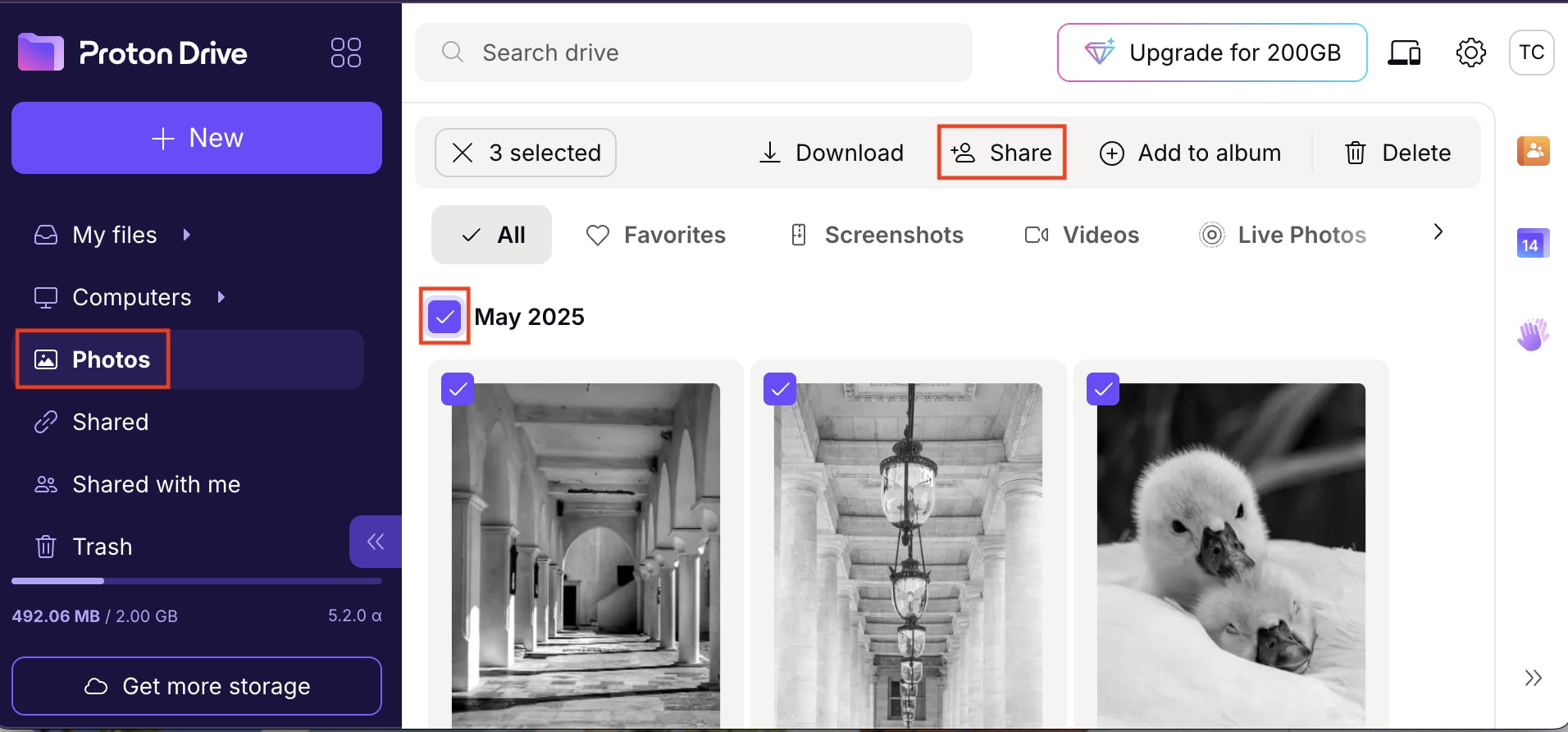 The Proton Drive web app shows to how share a collection of photos