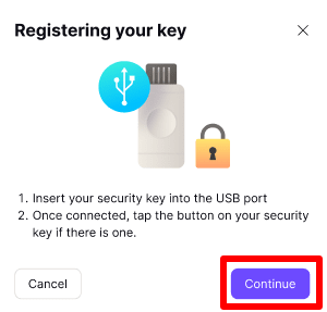 Insert your security key