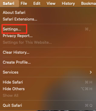 Open Safari settings