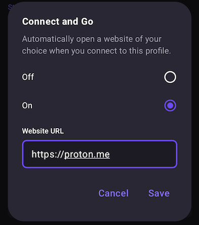 Enter a website to connect and go